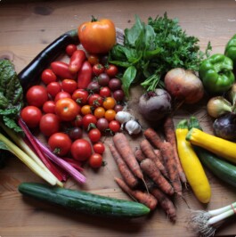 gemuesehof-laerchengrund.de