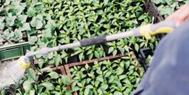 gemuesehof-laerchengrund.de