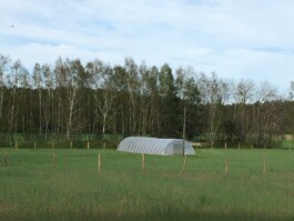 gemuesehof-laerchengrund.de