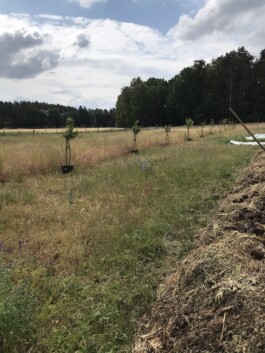 gemuesehof-laerchengrund.de