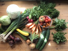 gemuesehof-laerchengrund.de