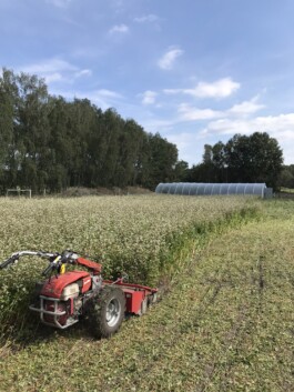 gemuesehof-laerchengrund.de