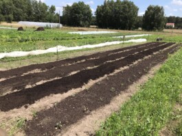 gemuesehof-laerchengrund.de