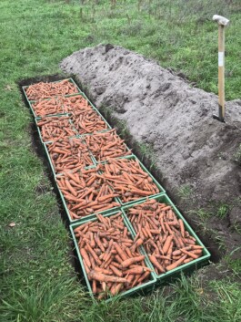 gemuesehof-laerchengrund.de