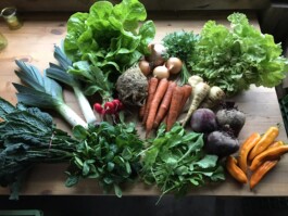 gemuesehof-laerchengrund.de