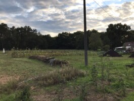 gemuesehof-laerchengrund.de